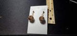 Leopard patterned ball & short chain Earrings C2-3