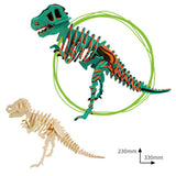 3D painting puzzle HC201 T-Rex
