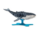 IncrediBuilds Animal Collection Humpback Whale 3D Wood Model and Booklet