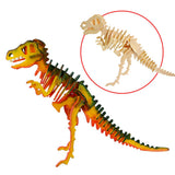 3D painting puzzle HC201 T-Rex