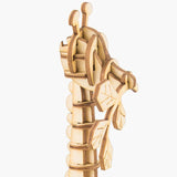 Modern 3D Wooden Puzzle-Wild Animals TG206 Giraffe