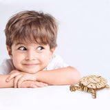 Modern 3D Wooden Puzzle-Sea animals TG275 Turtle