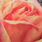 Irregular Rose Flower Hippie Tapestry Beach Picnic Throw Yoga Mat Towel Blanket